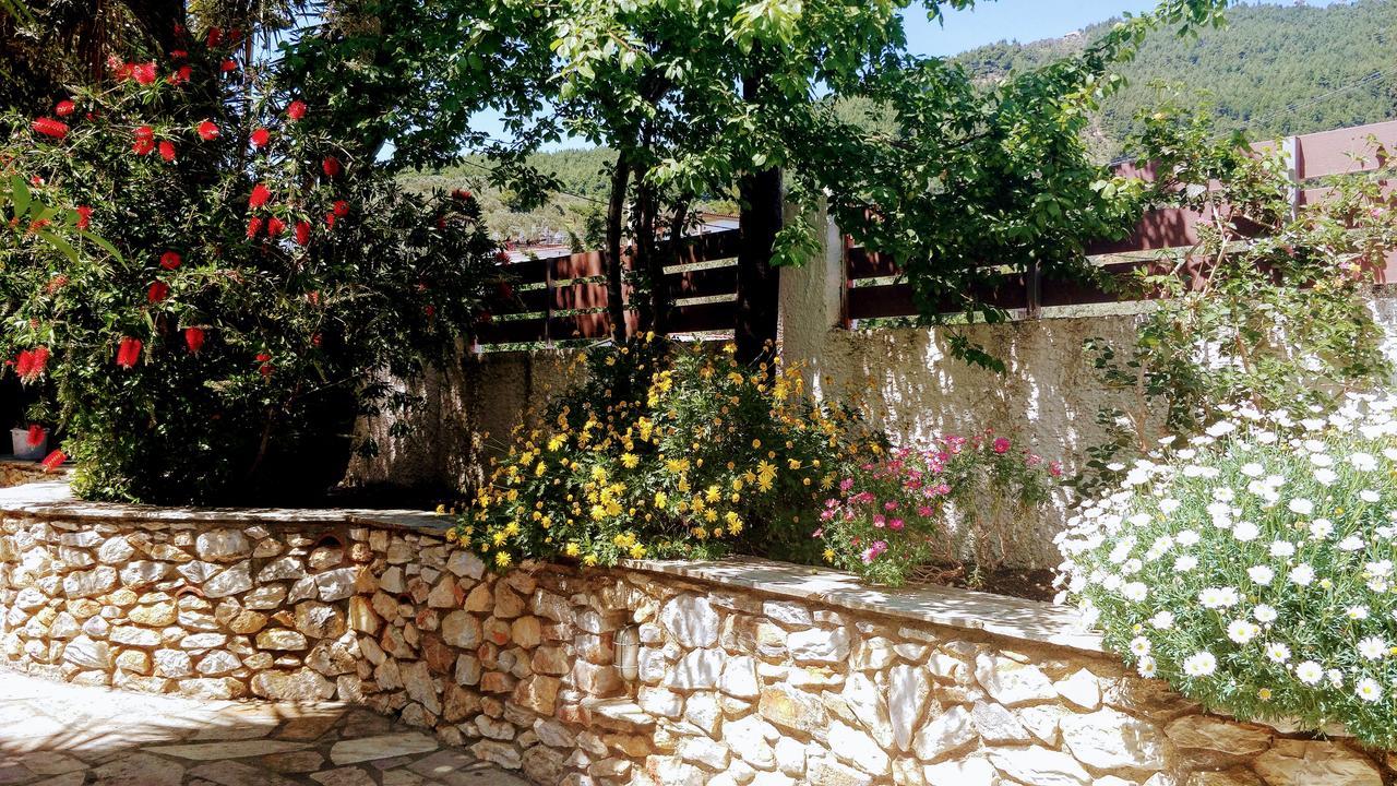 Maria Studios Skiathos 外观 照片